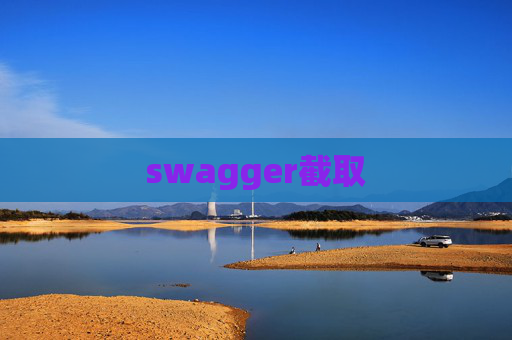 swagger截取